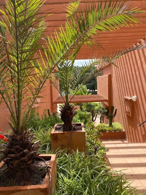 Appartement Cabopino Golf And Only Adults